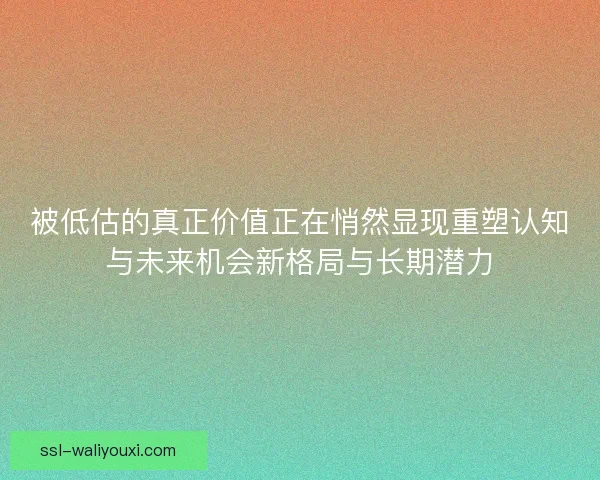被低估的真正价值正在悄然显现重塑认知与未来机会新格局与长期潜力