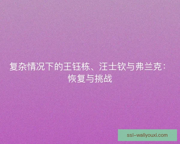 复杂情况下的王钰栋、汪士钦与弗兰克：恢复与挑战